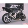 Echappement Zard racing Triumph Speed triple 2002-2004 3