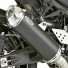 Echappement SHARK DSX-5 YAMAHA FZS 600 FAZER 1998-2004 0