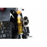 Ligne d'Echappement Zard special edition homologuÃ© TRIUMPH SCRAMBLER 2008-2016 Ã  carbu 3