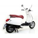 Echappement ARROW RACE-TECH VESPA PRIMAVERA 125-150 2014-2016