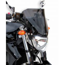 SAUTE VENT ERMAX YAMAHA FZ6 S2 2007-2011