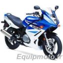 bulle taille origine ERMAX SUZUKI GS500F 2004-2008