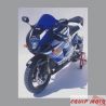 bulle aeromax ERMAX SUZUKI GSXR 1000 2003-2004 0