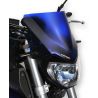 SAUTE VENT SPORT 25cm ERMAX YAMAHA MT-09 2014-2016 0
