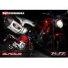 Echappement YOSHIMURA R77 SVF 650 GLADIUS 2009-2015 0