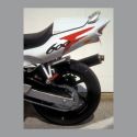 Capot de selle Ermax pour CBR 600 F 99/2007