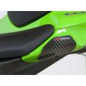 Sliders coque arrière carbone R&G RACING KAWASAKI ZX10R 2016