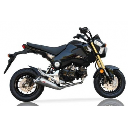 Echappement ixil X55 HONDA MSX125 2013-2017