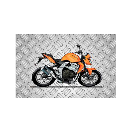 Tapis de sol Kawazaki Z750