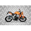 Tapis de sol Kawazaki Z750