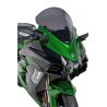 Bulle haute protection ERMAX KAWASAKI NINJA H2 SX 2019 3