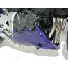 Sabot ERMAX HONDA CBF 600 2004-2007 0