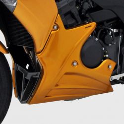 Sabot moteur ERMAX HONDA CBF 1000 FA 2010-2017