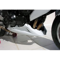 Sabot moteur ERMAX KAWASAKI Z1000 2007-2009