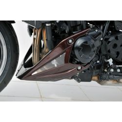 Sabot moteur ERMAX KAWASAKI Z1000 2010-2013
