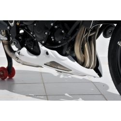 Sabot moteur ERMAX TRIUMPH 675 STREET TRIPLE 2012
