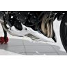 Sabot ERMAX TRIUMPH 675 STREET TRIPLE 2012 0