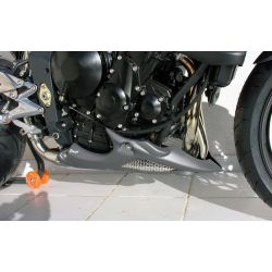 Sabot moteur ERMAX TRIUMPH 675 STREET TRIPLE R 2009-2011