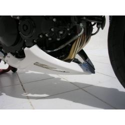Sabot moteur ERMAX TRIUMPH 1050 SPEED TRIPLE 2005-2007