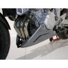 Sabot ERMAX YAMAHA FZ6/FAZER/S2 de 2004 à 2010 0