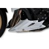 Sabot ERMAX YAMAHA FZ8 2010-2017 sauf ABS 0