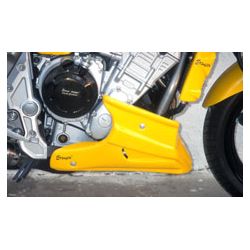 Sabot moteur ERMAX YAMAHA FZS 1000 FAZER 2001-2005