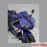 bulle aeromax YZF-R1 2004-2006 1