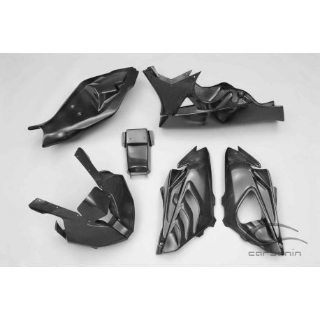 Carénage complet carbone avec partie arrière BMW S1000RR 2010-2011