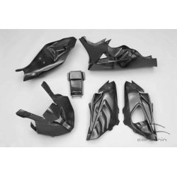 Carénage complet carbone avec partie arrière BMW S1000RR 2012-2014