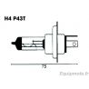 Ampoule H4 12V/60/55W culot P43t-38 0
