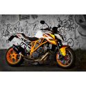 Echappement DEVIL evolution pour KTM 1290 SUPER DUKE / 1290 GT 2017-2019