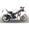 Echappement DEVIL evolution pour SUZUKI GSXR 1000 2005-2006 2