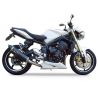 Echappement DEVIL evolution pour TRIUMPH 1050 SPEED TRIPLE 2007-2010 2