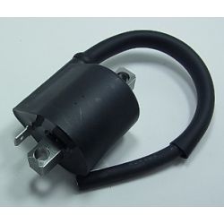 Bobines d'allumage moto SUZUKI VL800C INTRUDER VZ800 MARAUDER