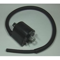 Bobines d'allumage moto SUZUKI DL650 V-STROM SV650 VL800C INTRUDER VZ800 MARAUDER