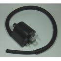 Bobines d'allumage moto SUZUKI DL650 V-STROM SV650 VL800C INTRUDER VZ800 MARAUDER