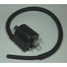 Bobines d'allumage moto SUZUKI DL650 V-STROM SV650 VL800C INTRUDER VZ800 MARAUDER 0