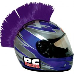 Crête de casque violet