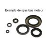 Joints spi bas moteur YAMAHA WR125 R WR125X HM CRM-F125X HUSQVARNA SM125 SMS125 TE 125 RIEJU 125 MARATHON 0