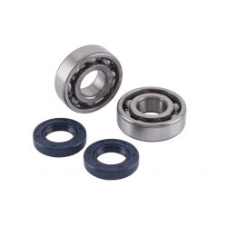Kit roulements et spis vilebrequins DERBI SENDA FENIX LOBITO GPR50 CAGIVA 50 MITO GILERA RCR50 SMT50