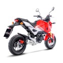 Echappement LEOVINCE LV-10 HONDA MSX 125 2017-2020