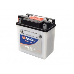 Batterie moto Tecnium YB3L-A