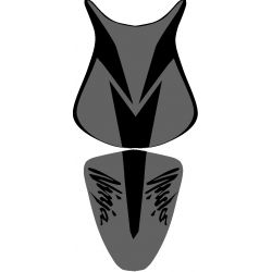 housse de selle bagster KAWASAKI ZX6R 2007 NOIR MAT/CARBONE/LETTRES NOIRES