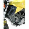 Ecopes de radiateur ERMAX SUZUKI SV 650 2003-2011 1