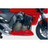 Ecopes de radiateur ERMAX KAWASAKI Z750 2004-2006 1