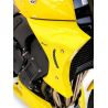 Ecopes de radiateur ERMAX YAMAHA FZ1 2006-2016 1