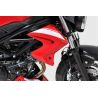 Ecopes radiateur moto ERMAX SUZUKI SV 650 2016-2020 0