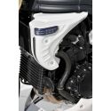 Ecopes de radiateur ERMAX Triumph 1050 SPEED TRIPLE 2005-2007