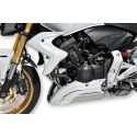 Ecopes de radiateur ERMAX CB 600 Hornet 2011-2013