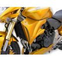 Ecopes de radiateur ERMAX HONDA CB 600 hornet 2007-2010